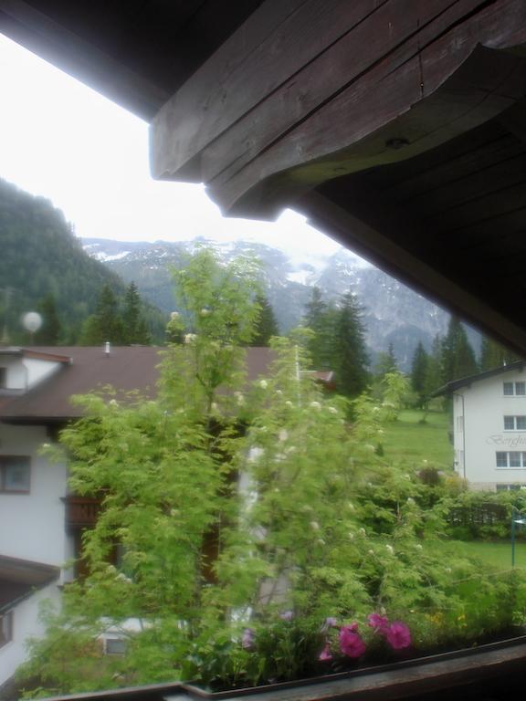 Haus Alpenblick 3*